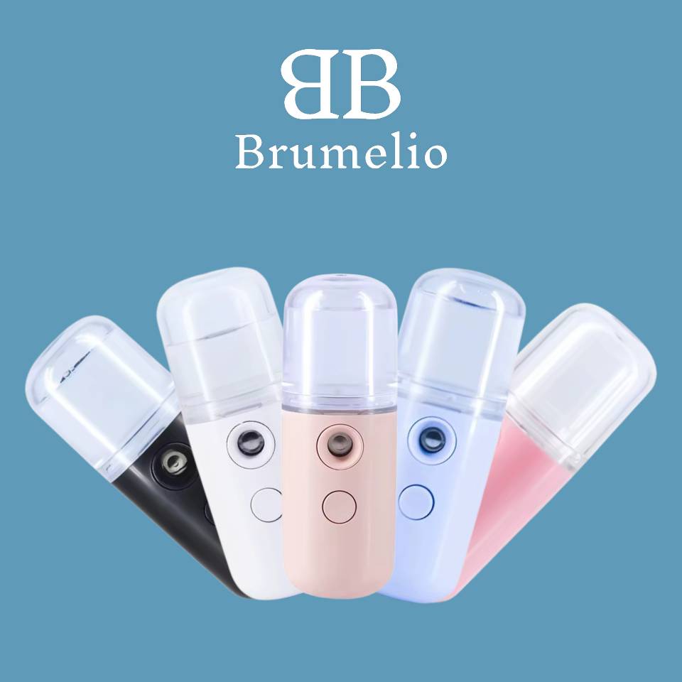 Brumisateur portatif
